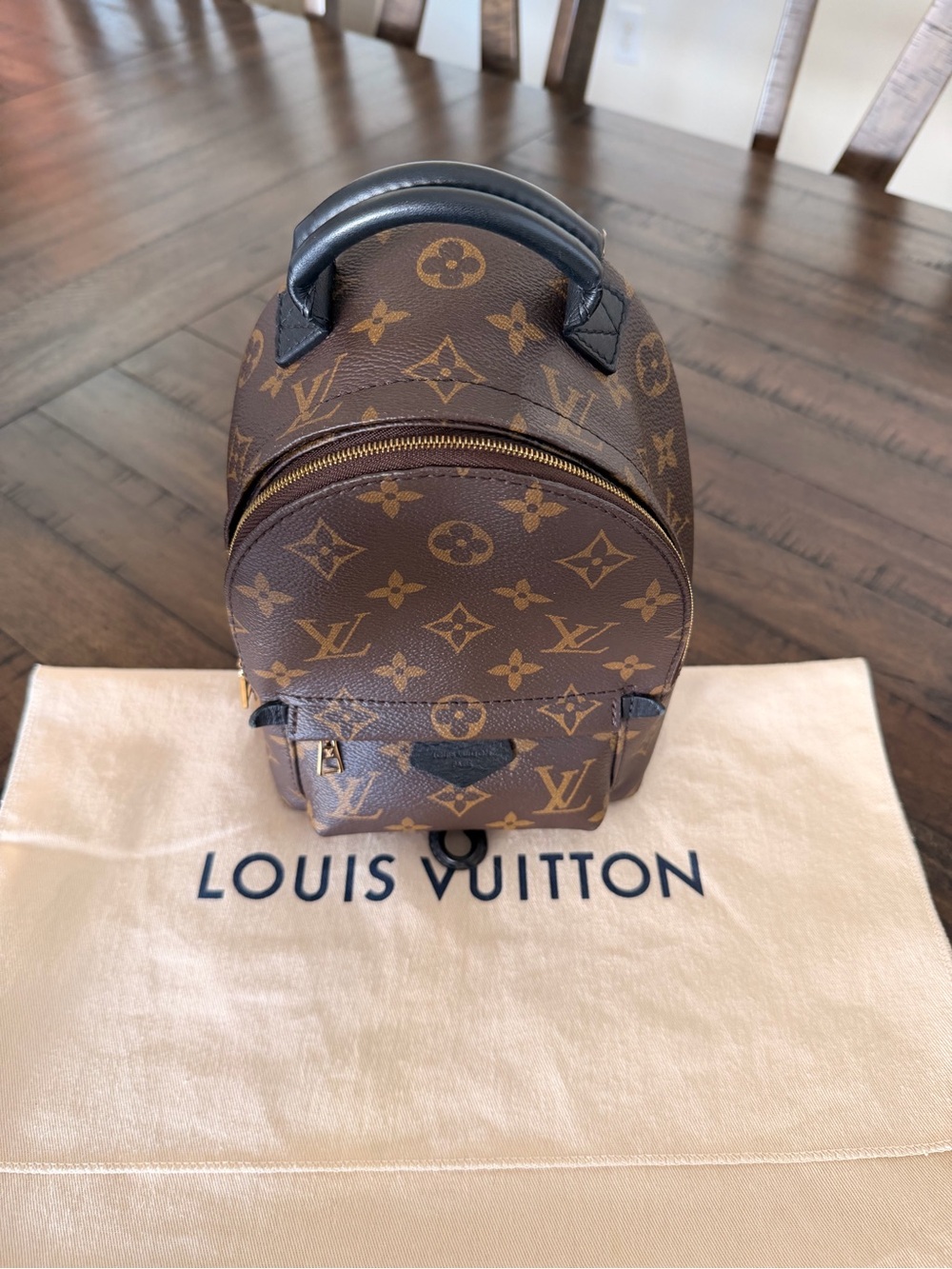 Louis Vuitton Palm Springs Mini